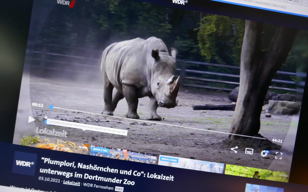 Off-Stimme für Zoo-Geschichten im WDR Fernsehen